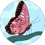 gia H. Avatar