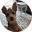 Beth M. Avatar